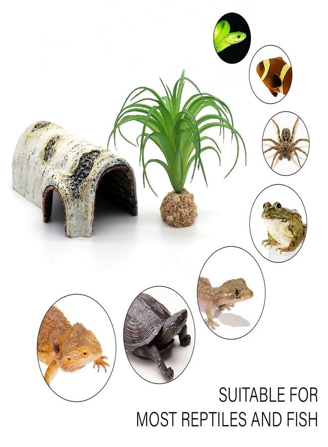 relaqcc Reptile Hides and Caves Birch Tree Bark Trunk Habitats Decor Aquarium Decoration Wood for Lizard Geckos Snake Spiders Frogs Turtle (Small) - Image 5
